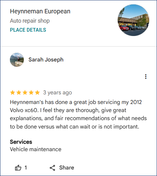 Review of Heynneman European By Sarah Joseph