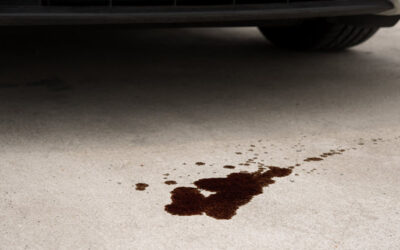 Where To Go in San Rafael to Replace Volkswagen’s Camshaft Seal