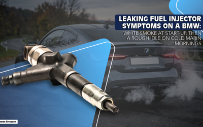 Leaking Fuel Injector Symptoms on a BMW: White Smoke at Start-Up, Then a Rough Idle on Cold Marin Mornings